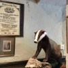 Badger Bar
