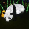 Giant Lanterns of&nbsp;China