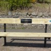 Last of the Summer Wine&nbsp;bench