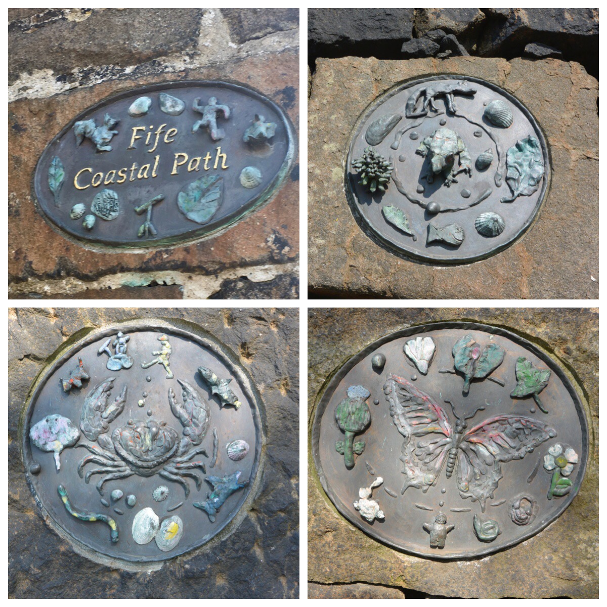 Fife Coastal Path North Queensferry to Dalgety Bay The Glasgow