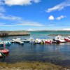 Bowmore harbour