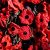 Memorial poppies