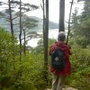 Lochalsh Woodland Walks
