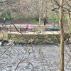 River Kelvin Mar&nbsp;2020