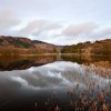 Loch Trool