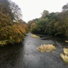 River Kelvin in&nbsp;autumn