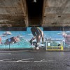 Swimming mural by&nbsp;Smug