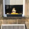 Kelvinside teddy bear