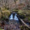 Glen Nant