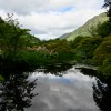Benmore Botanic Gardens