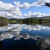 Strathspey forest walks
