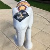 Maryhill elephant
