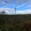Whitelee Windfarm