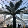Inside Kibble Palace