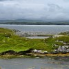 Great Bernera lobster&nbsp;pool