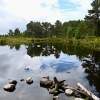 Lochan on the way to Fyrish&nbsp;Monument