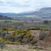 View from Croy&nbsp;Hill