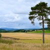Black Isle farmland