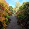 Autumn colour at Leith&nbsp;Hall