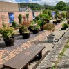 Largs Community Garden