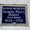 Pepys birth site