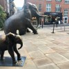 Sheldrake Wildlife Trust elephants by Gillie and&nbsp;Marc