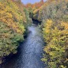 River Kelvin