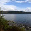 Ardcastle Point walk