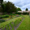 Kiplin Hall gardens
