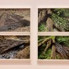 Andy Goldsworthy: fifty&nbsp;years