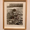 Andy Goldsworthy: fifty&nbsp;years