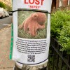 Lost quadropus